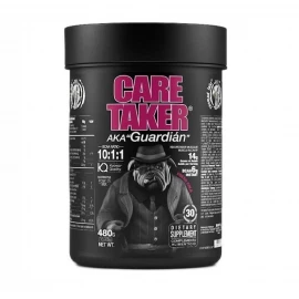 Аминокислоты Zoomad Labs Caretaker BCAA – 480 г