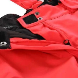 Штаны Alpine Pro Lermona