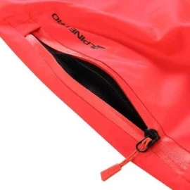 Штаны Alpine Pro Lermona