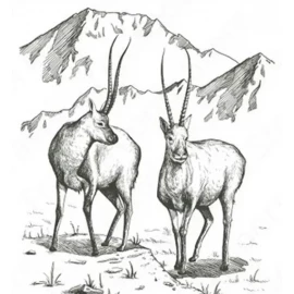 Спальник Naturehike NH21MSD06