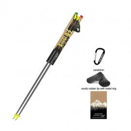 Палиці для скандинавської ходьби Fizan NW Carbon Pro