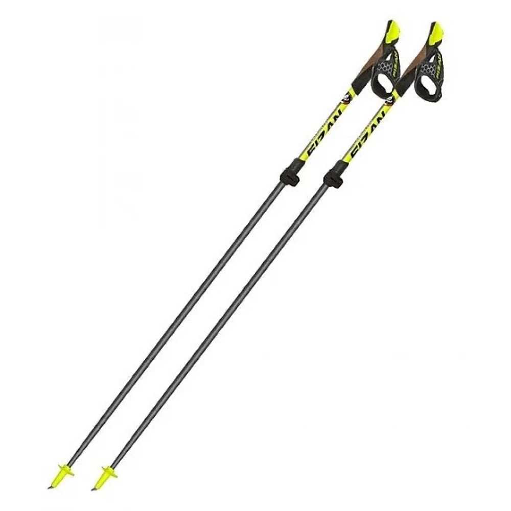 Палиці для скандинавської ходьби Fizan NW Carbon Pro