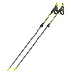 Палиці для скандинавської ходьби Fizan NW Carbon Pro