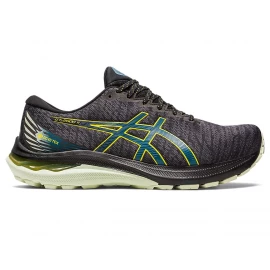 Кросівки Asics GT-2000 11 GTX
