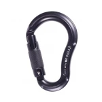 Карабін First Ascent Plum