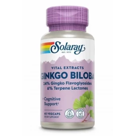 Гінкго білоба Solaray Ginkgo Biloba Leaf Extract 60mg - 60 vcaps