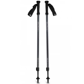 Трекінгові палиці Black Diamond Explorer 2