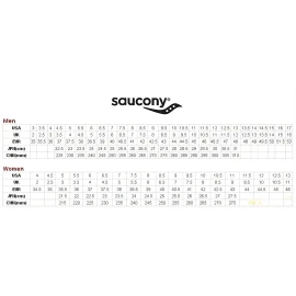 Кроссовки Saucony Ride 16