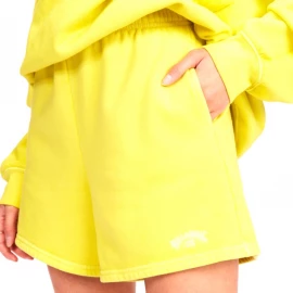 Шорти Billabong Surf Classic 5 J NDST