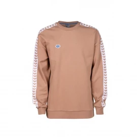 Кофта Arena Sweat Team Oversize