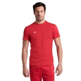 Футболка Arena T-Shirt Team Logo