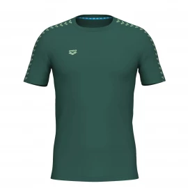Футболка Arena T-Shirt Team Logo