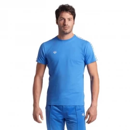 Футболка Arena T-Shirt Team Logo