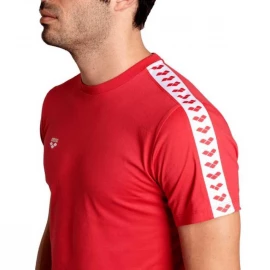 Футболка Arena T-Shirt Team Logo
