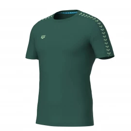 Футболка Arena T-Shirt Team Logo