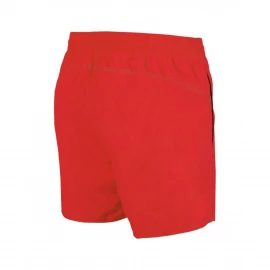 Шорти для плавання Arena Bywayx R
