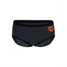 Плавки Arena One 12 cm Swim Briefs Big Logo