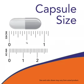 Ацетил-L-карнітин Now Foods Acetyl L-Carnitine 500mg - 50 vcaps