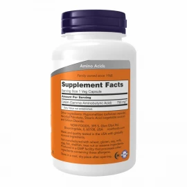 Гамма-аміномасляна кислота Now Foods GABA 750 mg - 100 vcaps