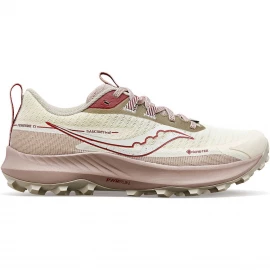 Кросівки Saucony Peregrine 13 GTX Wmn