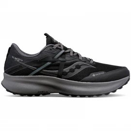 Кросівки Saucony Ride 15 TR GTX