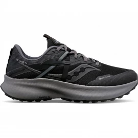 Кросівки Saucony Ride 15 TR GTX Wmn