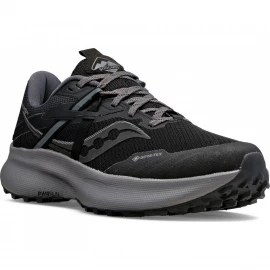 Кроссовки Saucony Ride 15 TR GTX Wmn