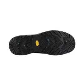 Черевики Lowa Renegade Evo Ice GTX