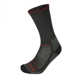 Шкарпетки Lorpen T2WE Merino Hiker Eco Socks, 2-pack