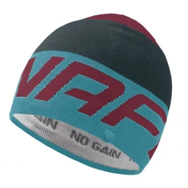 Шапка Dynafit Radical Beanie