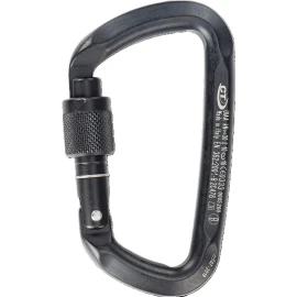Карабін Climbing Technology D-Shape SG