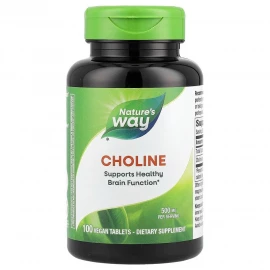 Холин Natures Way Choline 500 mg - 100 tabs