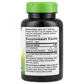 Холін Natures Way Choline 500 mg - 100 tabs