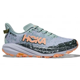 Кроссовки Hoka W Speedgoat 6 GTX 2024