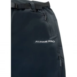Штани Alpine Pro Okem M