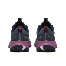 Кросівки Saucony Ride TR2 GTX Wmn