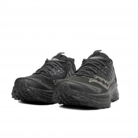 Кросівки Saucony Ride TR2 GTX Wmn