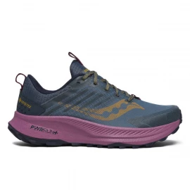 Кросівки Saucony Ride TR2 GTX Wmn