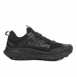 Кросівки Saucony Ride TR2 GTX Wmn