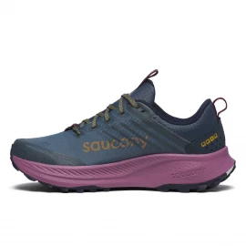 Кросівки Saucony Ride TR2 GTX Wmn
