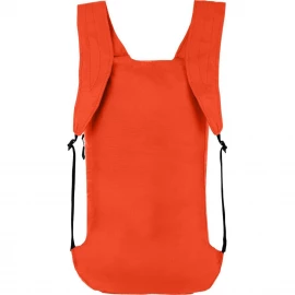 Рюкзак Salewa Ultralight 22L