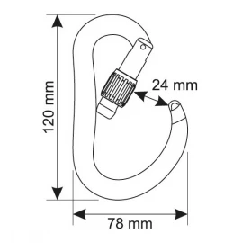 Карабин CAMP Atom Lock