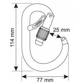 Карабін CAMP Core Belay Lock