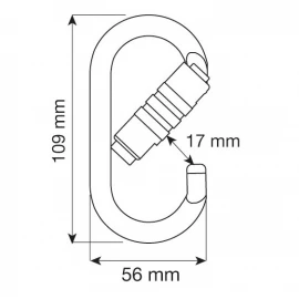 Карабін CAMP Oval Pro 2Lock