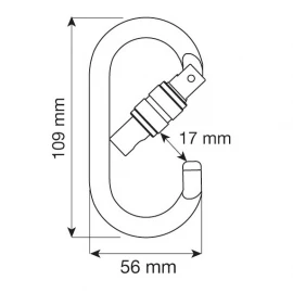 Карабін CAMP Oval Pro Lock