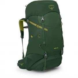 Рюкзак Osprey Ace 38