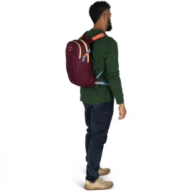 Рюкзак Osprey Daylite