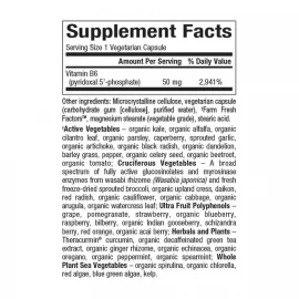 Вітаміни Natural Factors BioCoenzymated Pyridoxal 5'-phosphate 50 mg - 30 vcaps