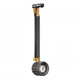 Black/Gold
