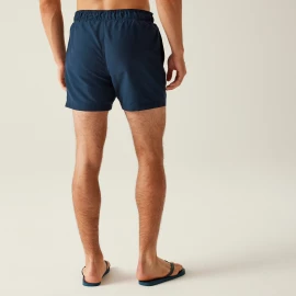 Шорти Regatta Mawson Sw Short III